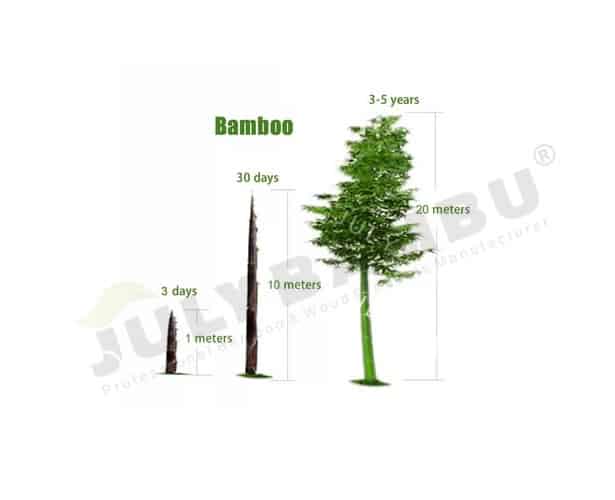 is bamboo a good kitchen countertop－3